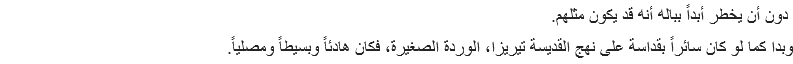  دون أن يخطر أبداً بباله أنه قد يكون مثلهم.
وبدا كما لو كان سائراً بقداسة على نهج القديسة تيريزا، الوردة الصغيرة، فكان هادئاً وبسيطاً ومصلياً.