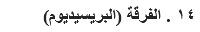 ١٤ . الفرقة (البريسيديوم)