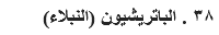 ٣٨ . الباتريشيون (النبلاء)